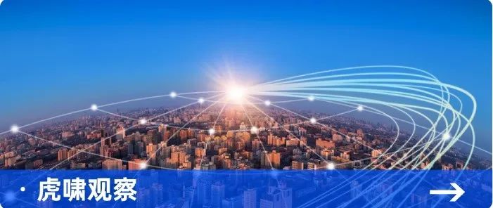 根深叶茂，业厚行远——2025（第十三届）数字营销峰会圆满举行